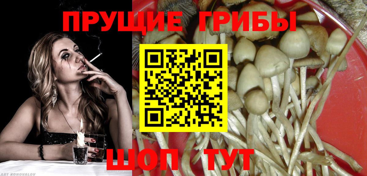 Псилоцибиновые грибы GOLDEN TEACHER Зеленодольск