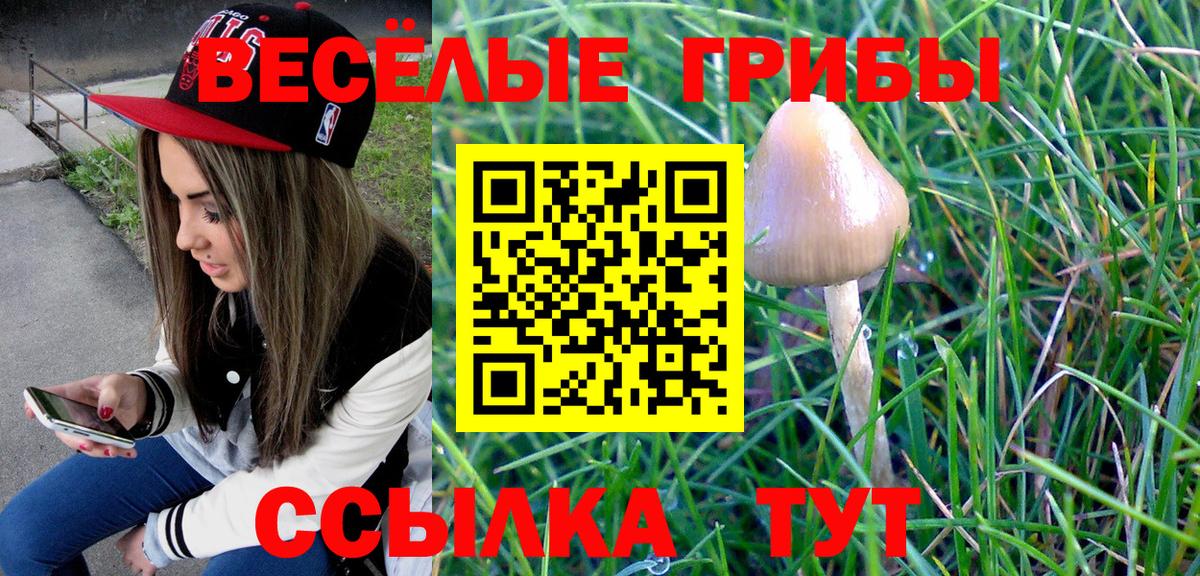 Псилоцибиновые грибы Cubensis  Вход с VPN  Зеленодольск 